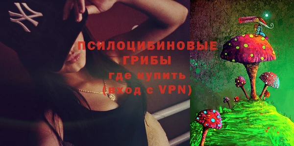 стаф Беломорск