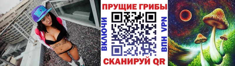 дарнет шоп  Жирновск  Псилоцибиновые грибы прущие грибы 